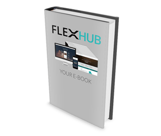 flexhub-ebook2-OPTM.png