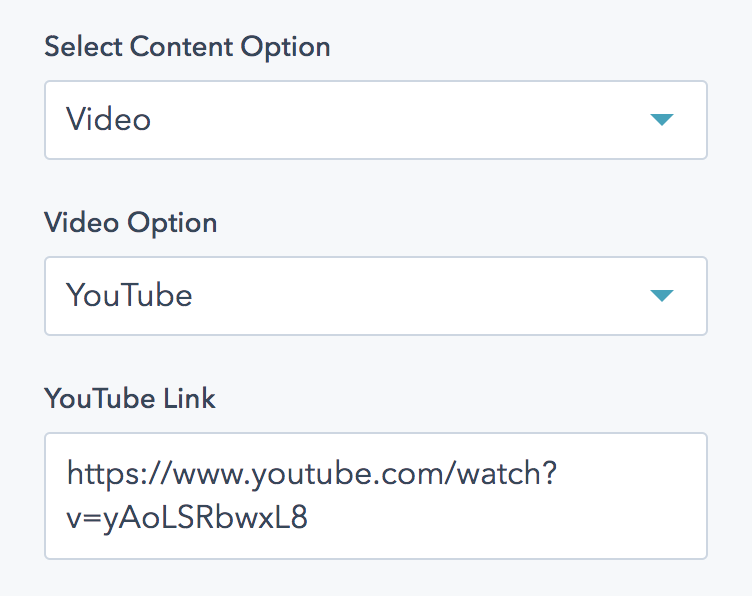 Video-style-options